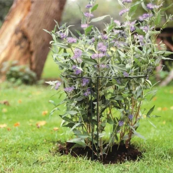 PODPORA DO ROŚLIN kwiatów Pierścieniowa Ogrodowa 35 cm Pergola Mocna METAL