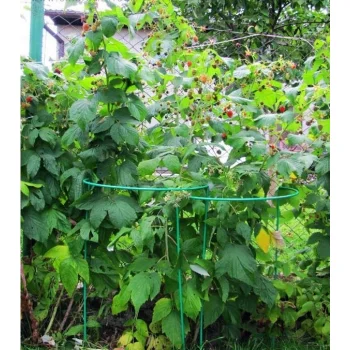PODPORA DO ROŚLIN kwiatów Pierścieniowa Ogrodowa 115 cm Mocna pergola METAL