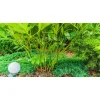 PODPORA DO ROŚLIN kwiatów Pierścieniowa Ogrodowa 45 cm Mocna pergola METAL