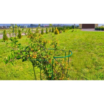 PODPORA DO ROŚLIN kwiatów Pierścieniowa Ogrodowa 45 cm Mocna pergola METAL