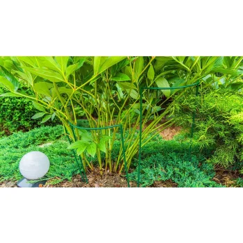 PODPORA DO ROŚLIN kwiatów Pierścieniowa Ogrodowa 45 cm Mocna pergola METAL