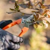 Sekator ręczny ostrze mijające do cięcia kwiatów i krzewów MOCNY OSTRY