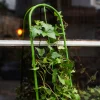 PODPORA DRABINKOWA DO ROŚLIN KWIATÓW DRABINKA DO PNĄCZY STABILNA 60 CM
