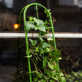 PODPORA DRABINKOWA DO ROŚLIN KWIATÓW DRABINKA DO PNĄCZY STABILNA 60 CM