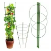 Podpora Pierścieniowa do roślin kwiatów 75cm Metalowa Podpórka OBRĘCZE