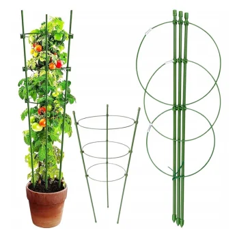 Podpora Pierścieniowa do roślin kwiatów 75cm Metalowa Podpórka OBRĘCZE