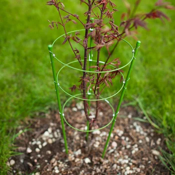 Podpora Pierścieniowa do roślin kwiatów 75cm Metalowa Podpórka OBRĘCZE