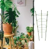 Podpora Pierścieniowa do roślin kwiatów 90cm Metalowa Podpórka OBRĘCZE
