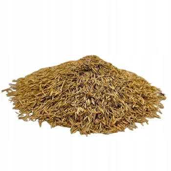 TRAWA Z MIKROKONICZYNĄ nasiona na trawnik Odporna na suszę Ozdobna 1 kg