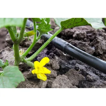 Linia kroplująca nawadnianie kropelkowe 100m 192el mocny wąż kropelkujący