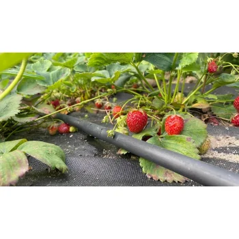 Linia kroplująca z kompensacją Nawadnianie kropelkowe 25m +24 el. mocny wąż