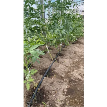 Linia kroplująca z kompensacją Nawadnianie kropelkowe 25m +24 el. mocny wąż