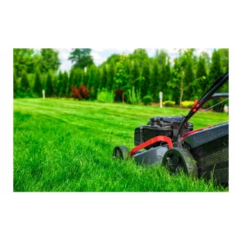 TRAWA NASIONA Sportowa Boiskowa Wytrzymała Samozageszczająca Trawnik 15 kg