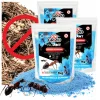 PREPARAT ŚRODEK do zwalczania mrówek faraonek hurtnic TRUTKA 3kg proszek