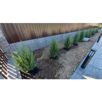 Taśma Kroplująca Nawadnianie Kropelkowe Wąż Lina 1,5l/h 15cm BRADAS 100m