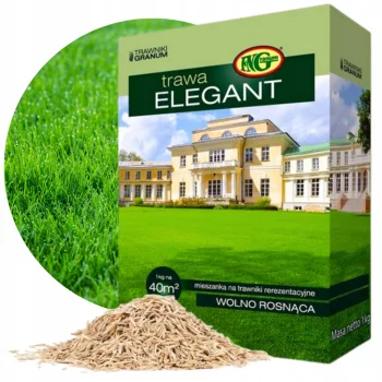 TRAWA NASIONA Dywanowa Dekoracyjna Reprezentacyjna 1kg 40m2 Mieszanka traw