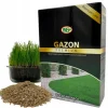 TRAWA NASIONA Gazonowa ODPORNA Gęsta Zielona TRAWNIK Premium 1 kg