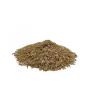 TRAWA NASIONA Gazonowa ODPORNA Gęsta Zielona TRAWNIK Premium 1 kg
