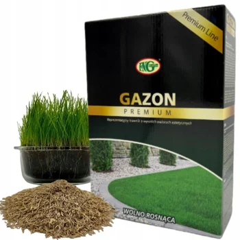 TRAWA NASIONA Gazonowa ODPORNA Gęsta Zielona TRAWNIK Premium 1 kg