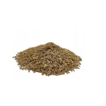 TRAWA NASIONA Gazonowa ODPORNA Gęsta Zielona TRAWNIK Premium 1 kg