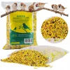 ZIARNO DLA PTAKÓW DO KARMNIKA dokarmianie ptaków NASIONA MIESZANKA 1KG