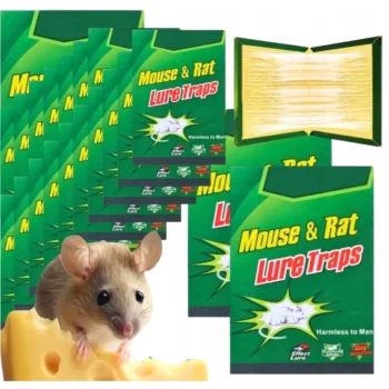 100x LEP na myszy SZCZURY silna pułapka MOCNY KLEJ Aromat MYSZOŁAPKA ŁAPKA