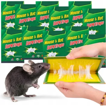 100x LEP na myszy SZCZURY silna pułapka MOCNY KLEJ Aromat MYSZOŁAPKA ŁAPKA