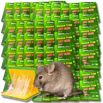 100x LEP na myszy SZCZURY silna pułapka MOCNY KLEJ Aromat MYSZOŁAPKA ŁAPKA