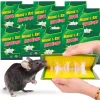 30x LEP NA MYSZY Pułapka KLEJ ŁAPKA SZCZURY MYSZOŁAPKA Łapka SILNA z klejem