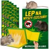 30x LEP NA MYSZY Pułapka KLEJ ŁAPKA SZCZURY MYSZOŁAPKA Łapka SILNA z klejem