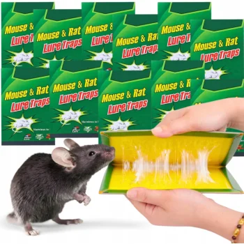 30x LEP NA MYSZY Pułapka KLEJ ŁAPKA SZCZURY MYSZOŁAPKA Łapka SILNA z klejem