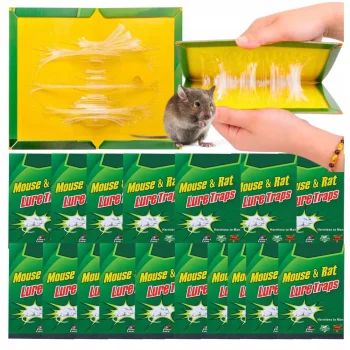 30x LEP NA MYSZY Pułapka KLEJ ŁAPKA SZCZURY MYSZOŁAPKA Łapka SILNA z klejem