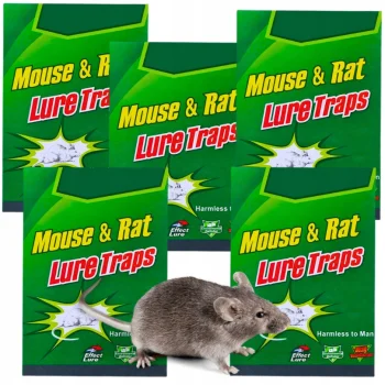 30x LEP NA MYSZY Pułapka KLEJ ŁAPKA SZCZURY MYSZOŁAPKA Łapka SILNA z klejem