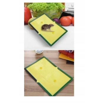 Lep na myszy PUŁAPKA KLEJOWA gryzonie szczury Myszołapka ŁAPKA mocna 5 szt