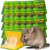 50x LEP na myszy SZCZURY silna pułapka MOCNY KLEJ Aromat MYSZOŁAPKA ŁAPKA