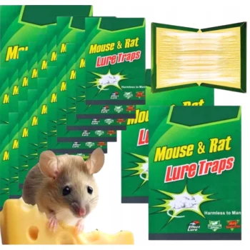 50x LEP na myszy SZCZURY silna pułapka MOCNY KLEJ Aromat MYSZOŁAPKA ŁAPKA