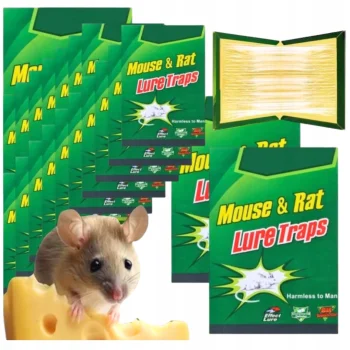 50x LEP na myszy SZCZURY silna pułapka MOCNY KLEJ Aromat MYSZOŁAPKA ŁAPKA