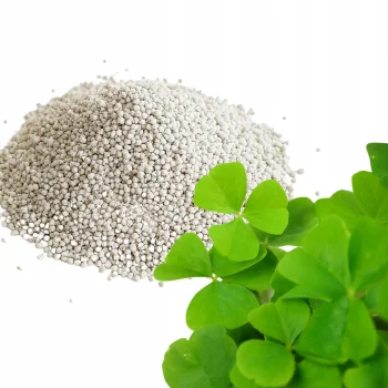 MIKROKONICZYNA NASIONA KONICZYNA DROBNOLISTNA NA TRAWNIK 500g OTOCZKOWANA