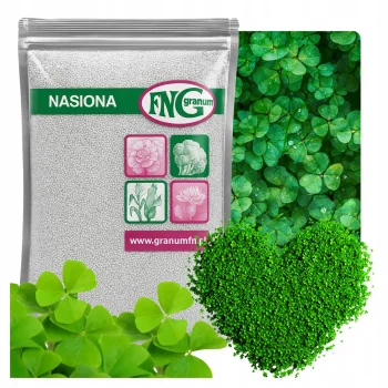 MIKROKONICZYNA NASIONA KONICZYNA DROBNOLISTNA NA TRAWNIK 500g OTOCZKOWANA