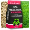 TRAWA NASIONA Sportowa Boiskowa Wytrzymała Samozageszczająca Trawnik 5kg