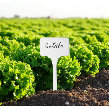 Etykieta tabliczka Do roślin Stojąca 15x5,5cm 10 sztuk Tabliczki ogrodowe