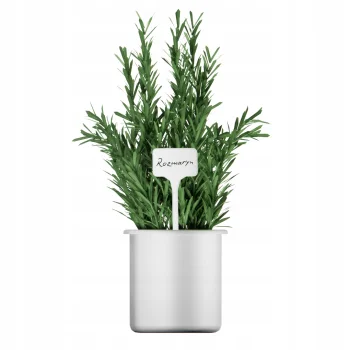 Etykieta tabliczka Do roślin Stojąca 15x5,5cm 10 sztuk Tabliczki ogrodowe