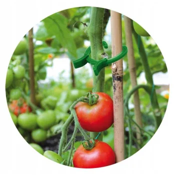 Klipsy do mocowania roślin Zapinki mocujące 45 szt 3 rozmiary Do pomidorów