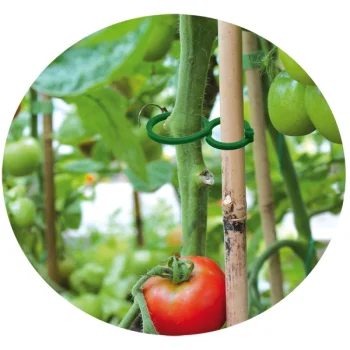 Zapinki do mocowania roślin 40szt 2 rozmiary Klipsy mocujące do pomidorów