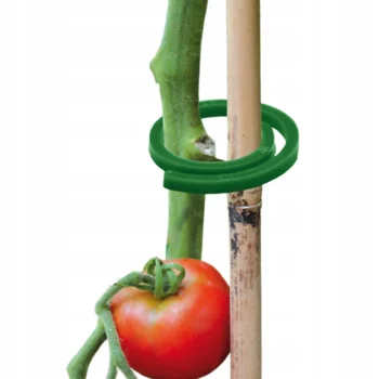 Zapinki do mocowania roślin 50szt średnica 3cm Klipsy mocujące do pomidorów