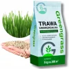 TRAWA NASIONA Uniwersalna ODPORNA NA DEPTANIE WIELOLETNIA GĘSTA 10kg