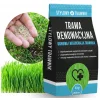 TRAWA NASIONA Renowacyjna Regeneracyjna Samozagęszczająca Trawnik 5kg