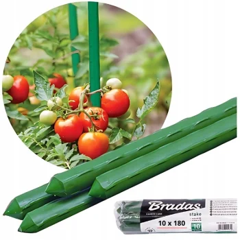 Tyczki Do pomidorów 180 cm 10szt Powlekana PCV Solidna 11mm Podpora Roślin