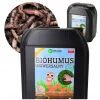 BIOHUMUS UNIWERSALNY organiczny NAWÓZ naturalny KWIATY WARZYWA 5L HUMUS