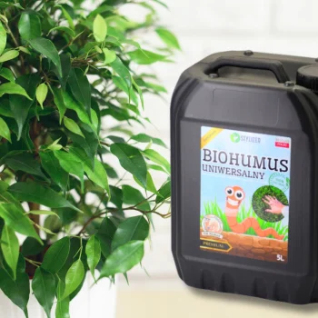 BIOHUMUS UNIWERSALNY organiczny NAWÓZ naturalny KWIATY WARZYWA 5L HUMUS